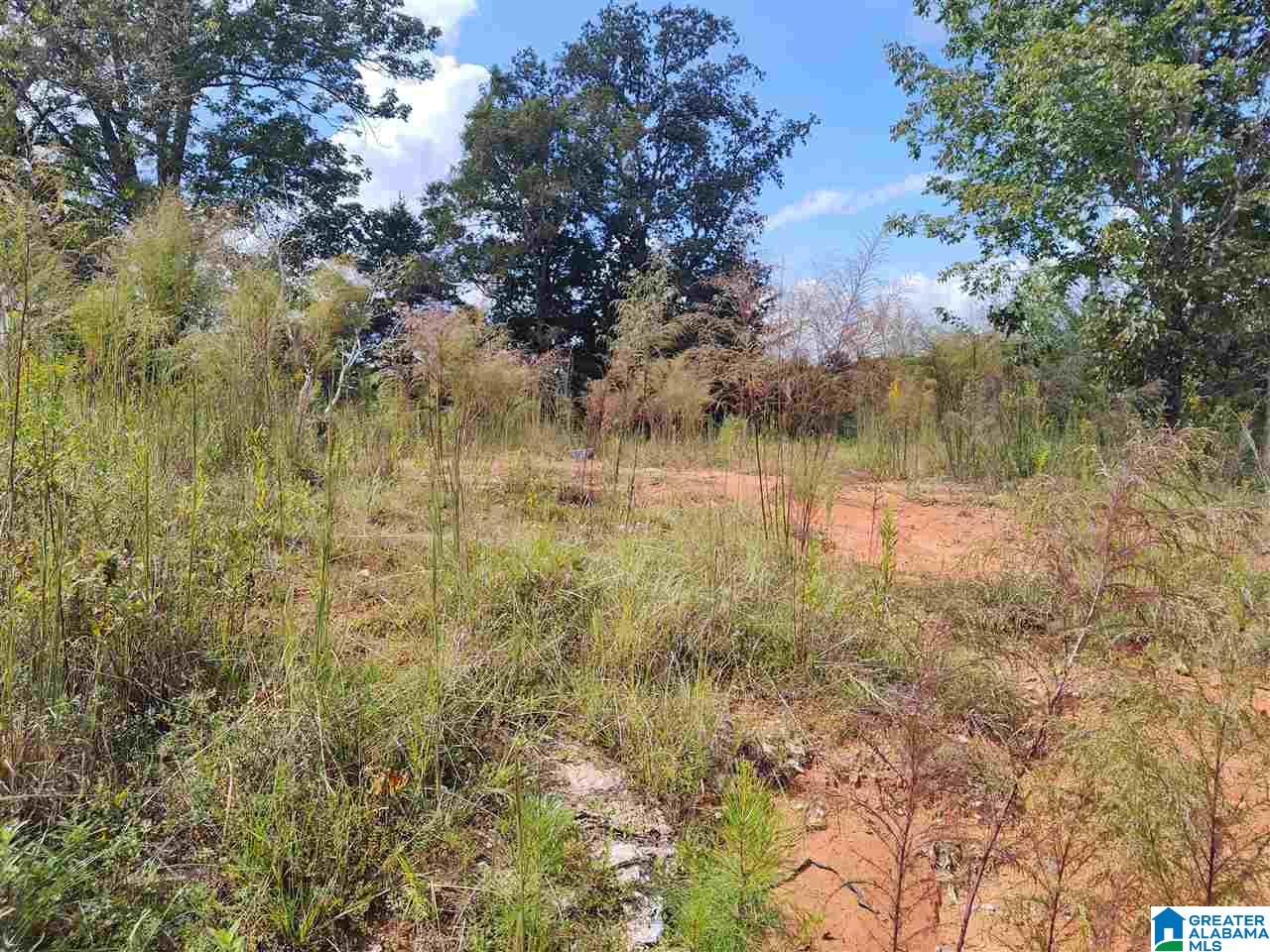 17160 Lock 17 Road, Unit 1 Brookwood, AL 35444 - Photo 1 of 13