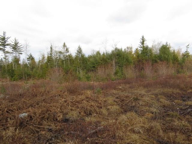 209 Bert Gray Road Sullivan, ME 04664 - Photo 20 of 34 Photo