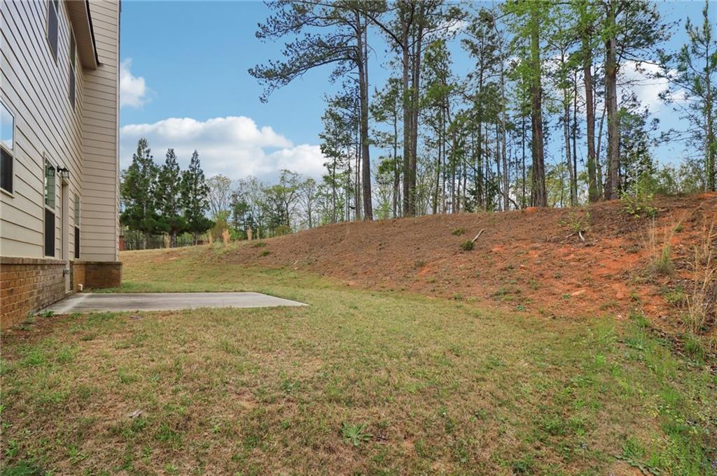 1001 Hartwell Road Locust Grove, GA 30248 - Photo 53 of 60