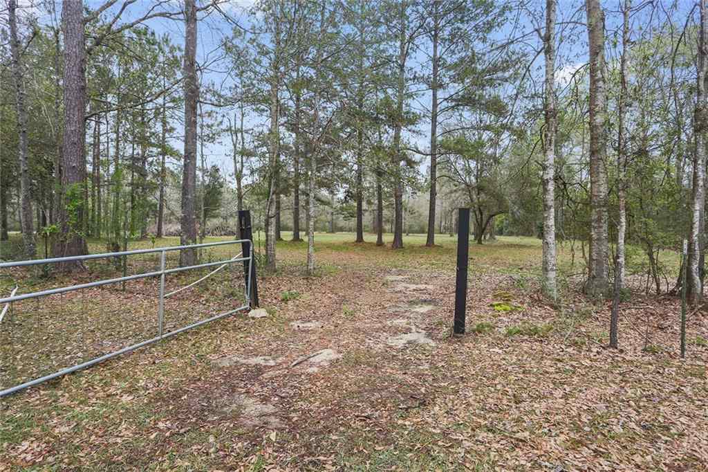 81174 Jim Loyd Road Folsom, LA 70437 - Photo 34 of 39 Gallery Image 34
