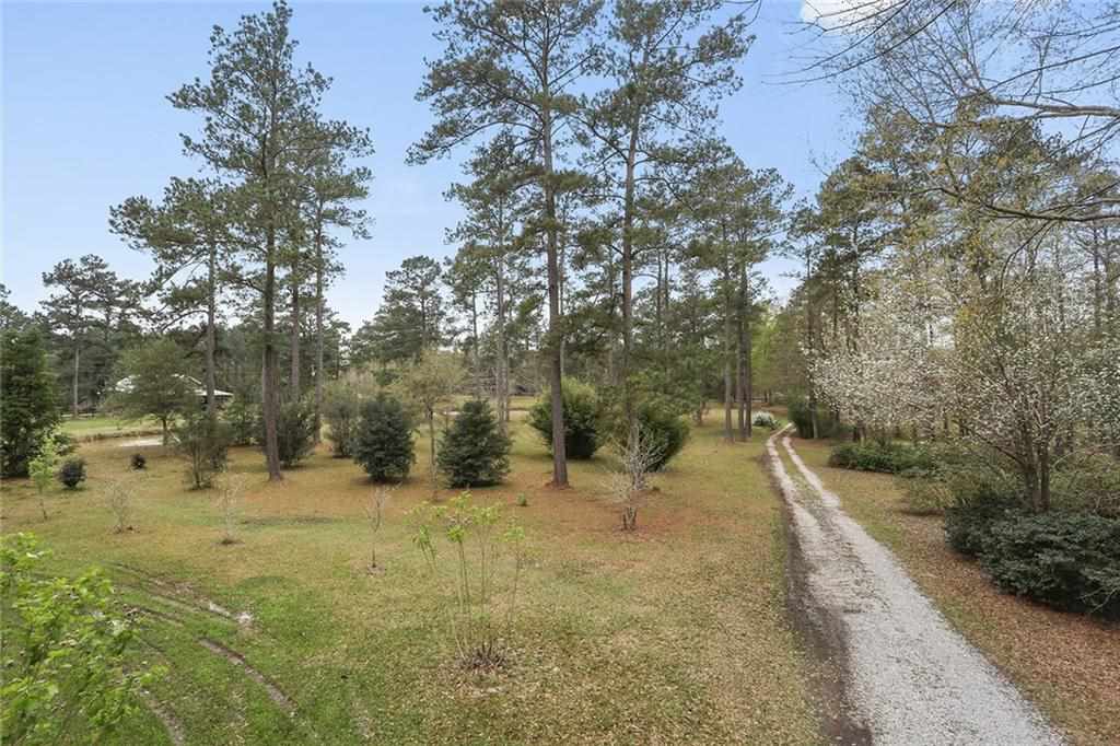81174 Jim Loyd Road Folsom, LA 70437 - Photo 36 of 39 Gallery Image 36