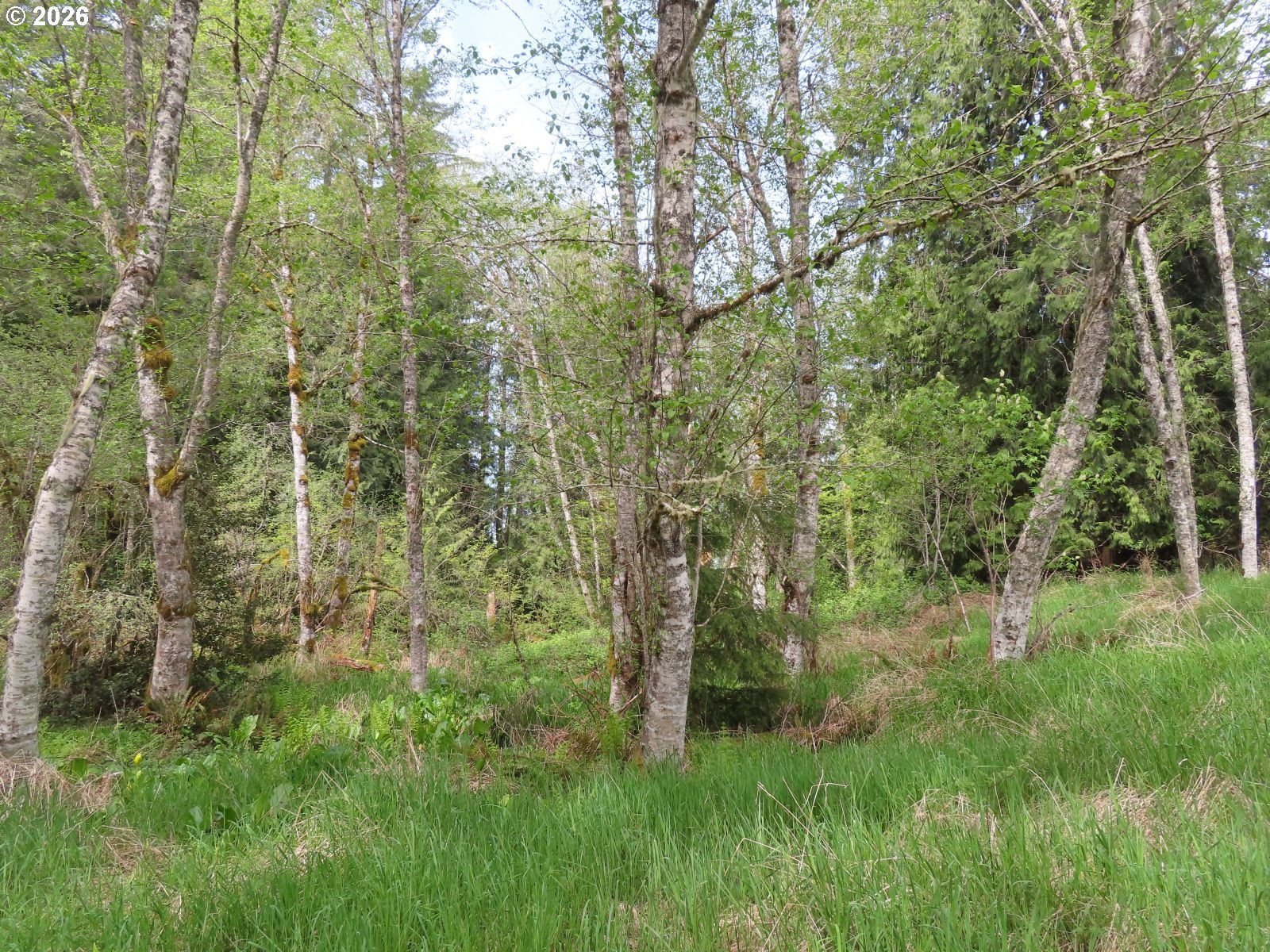 Hagen Road Mossyrock, WA 98564 - Photo 22 of 29