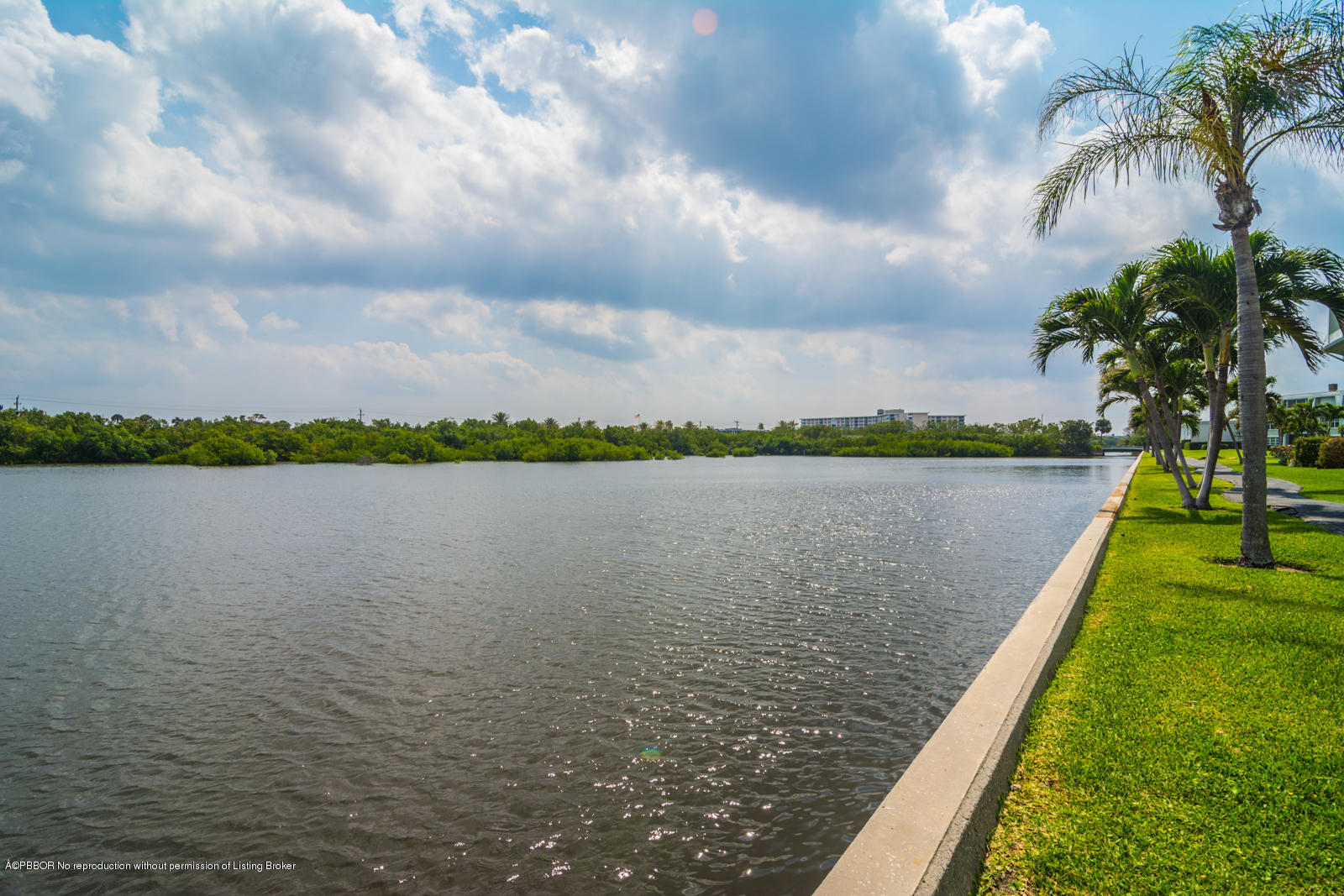 2165 Ibis Isle Road, Unit 5 Palm Beach, FL 33480 - Photo 3 of 28 view