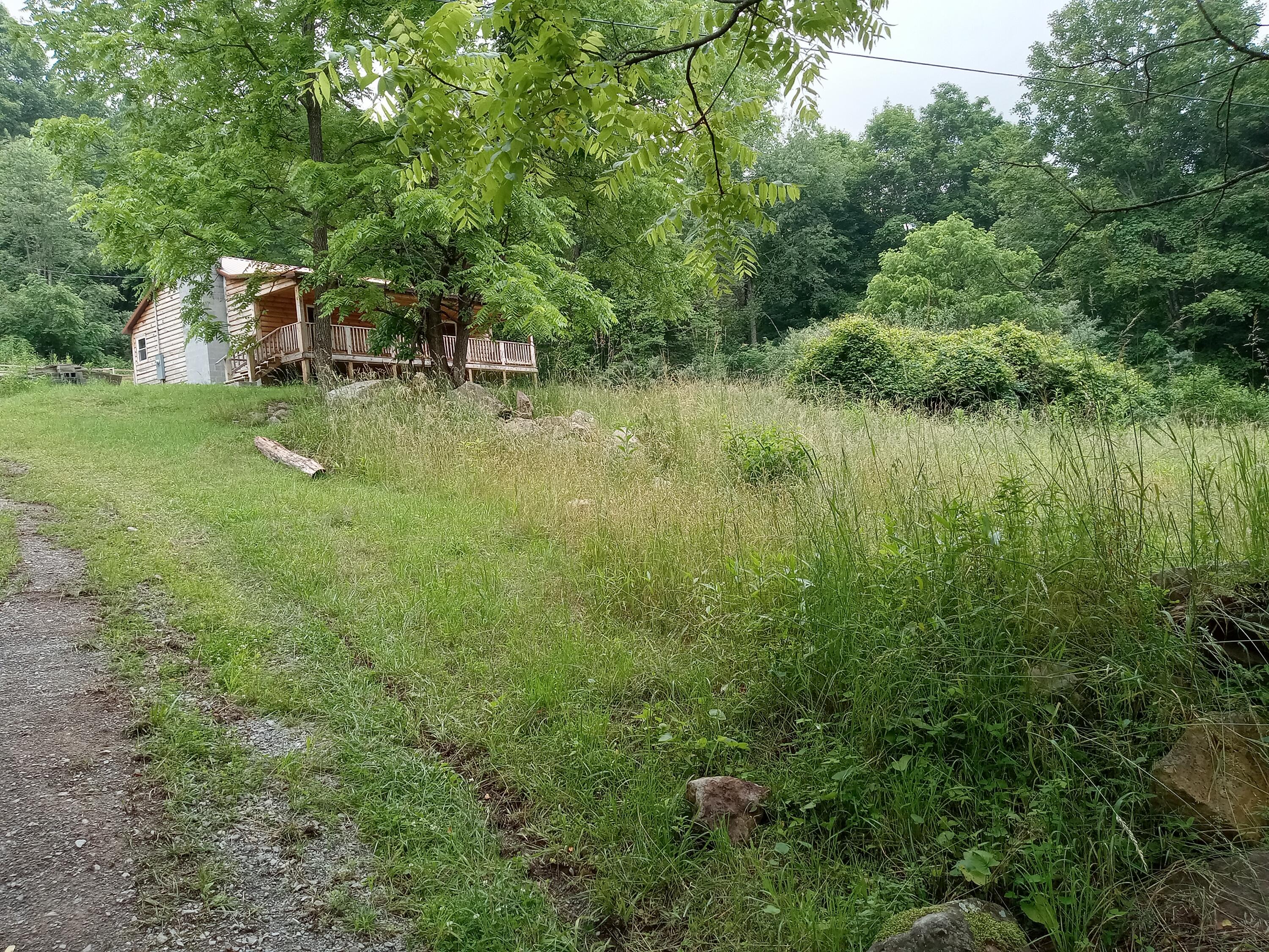 722 Basketball Road Pounding Mill, VA 24637 - Photo 56 of 58 20230628_113637