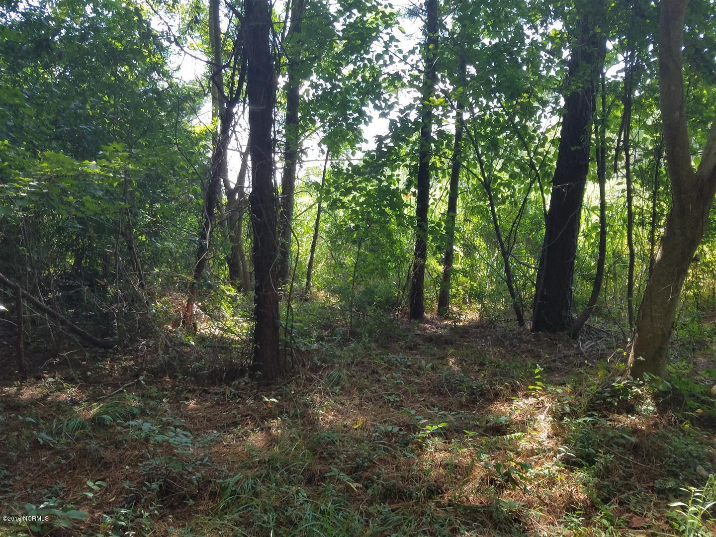 549 Bennett Neck Road Grantsboro, NC 28529 - Photo 11 of 12 View from Front Porch toward Bennett Neck Rd.