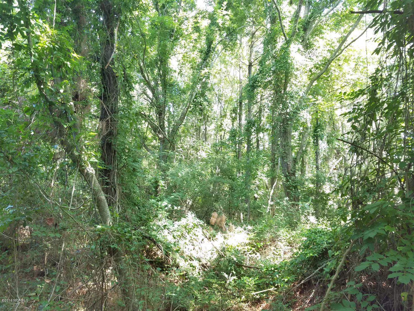 549 Bennett Neck Road Grantsboro, NC 28529 - Photo 6 of 12 Heavily Wooded 1.4 acre Land - Unrestricted.