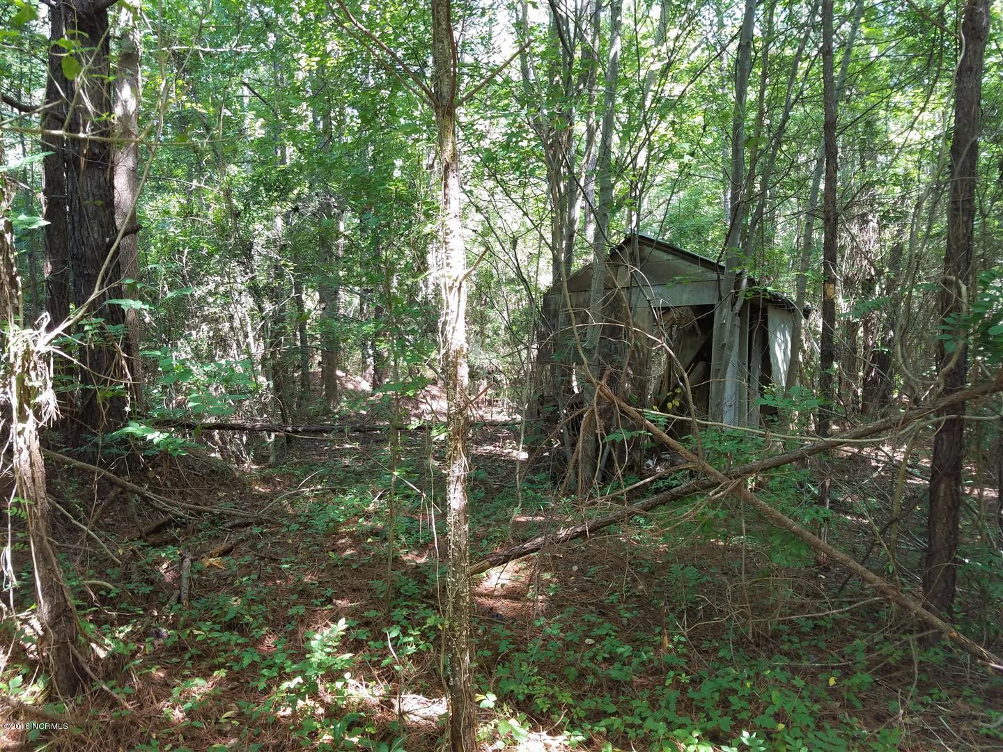 549 Bennett Neck Road Grantsboro, NC 28529 - Photo 9 of 12 Outbuilding