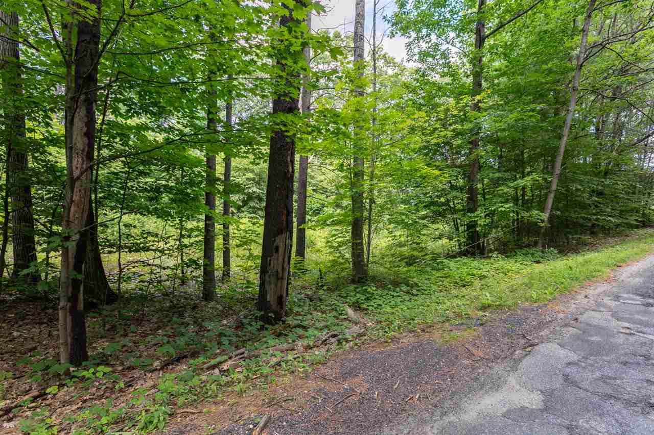 0 Depot Road, Unit PARCEL C Hartland, VT 05048 - Photo 2 of 7