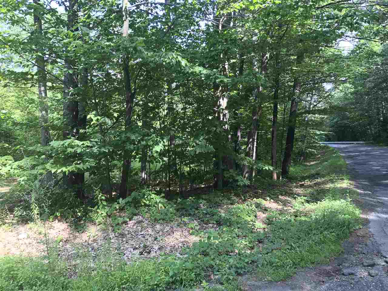 0 Depot Road, Unit PARCEL C Hartland, VT 05048 - Photo 4 of 7