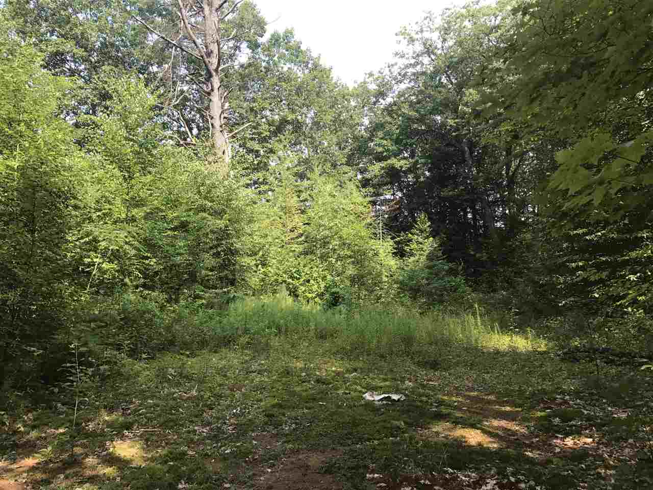 0 Depot Road, Unit PARCEL C Hartland, VT 05048 - Photo 5 of 7