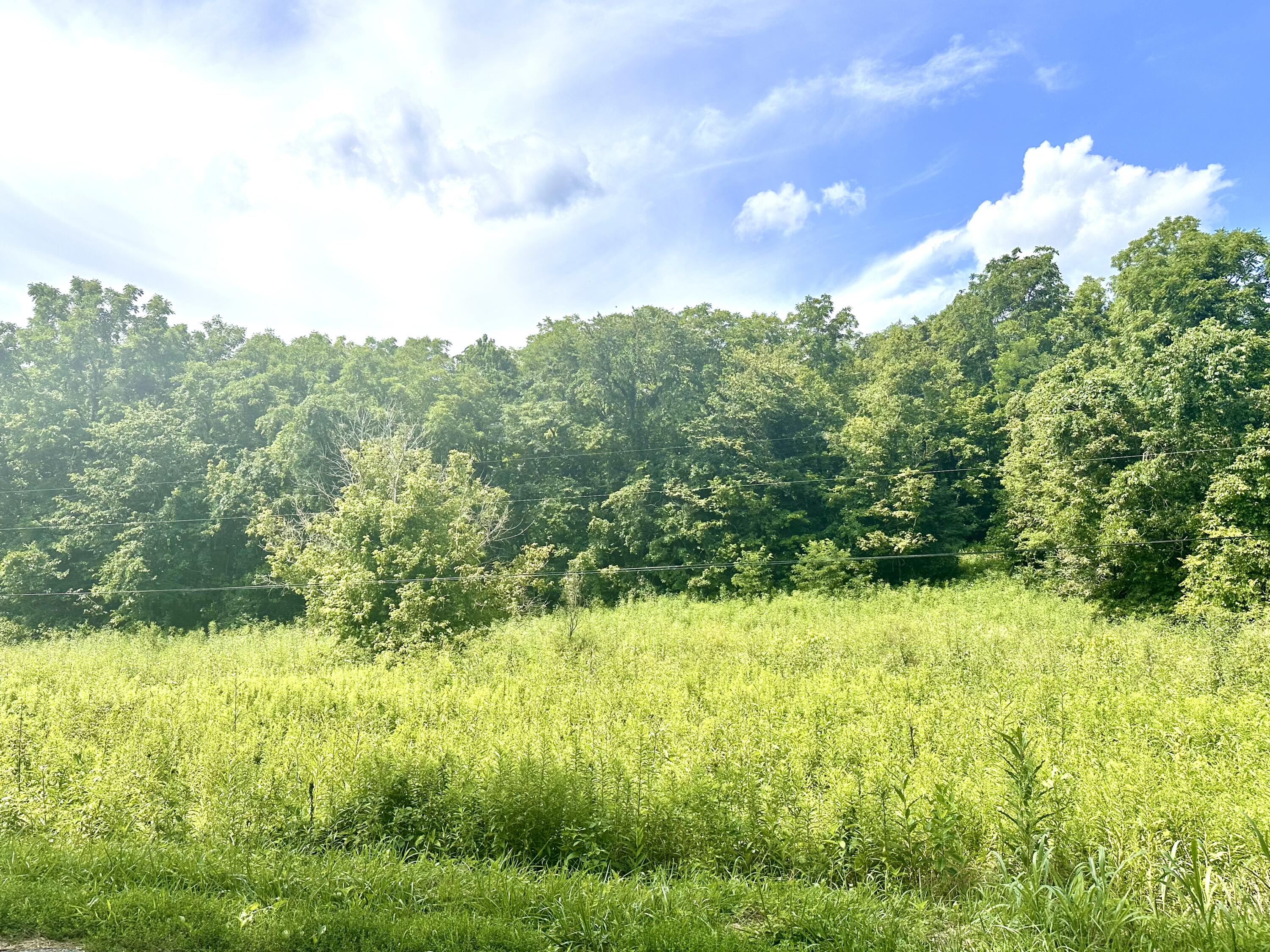 839 Saltwell Road Carlisle, KY 40311 - Photo 11 of 20 IMG_2124