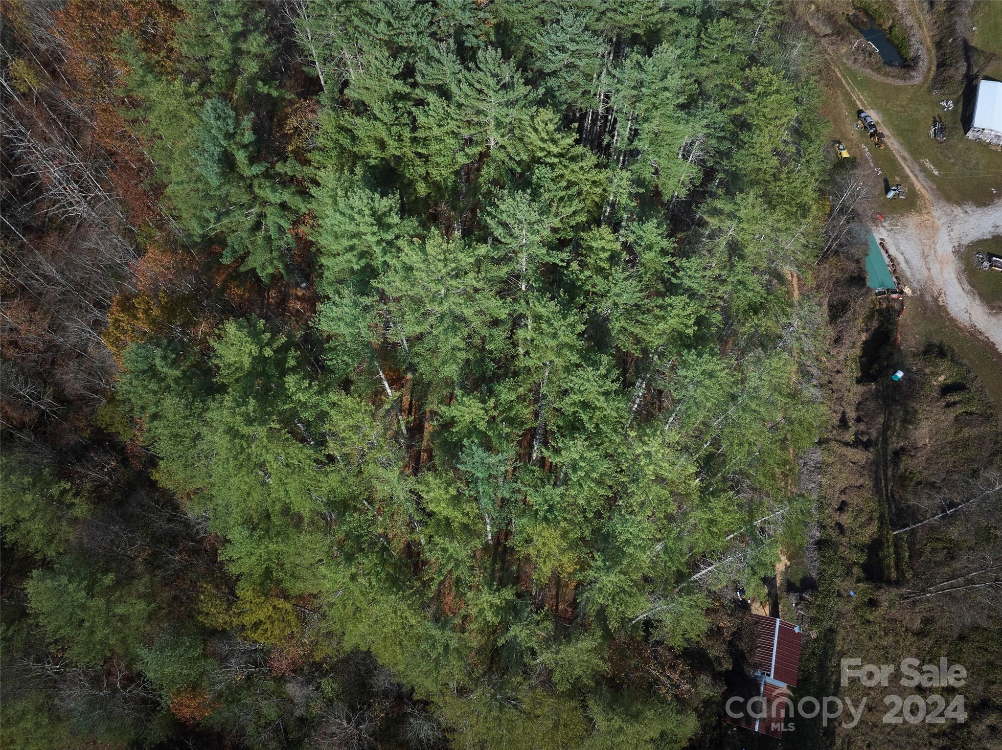0 Sky Ridge Drive Bryson City, NC 28713 - Photo 11 of 15 a view of a forest with a tree