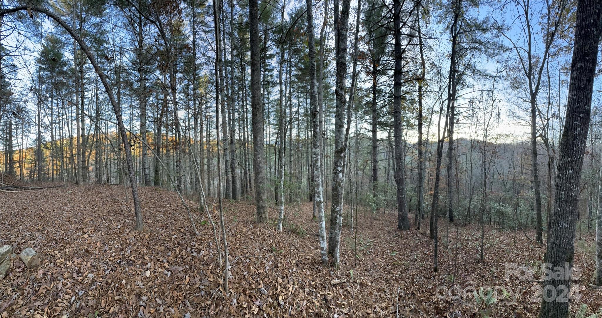 0 Sky Ridge Drive Bryson City, NC 28713 - Photo 15 of 15 a view of a forest with trees in the background