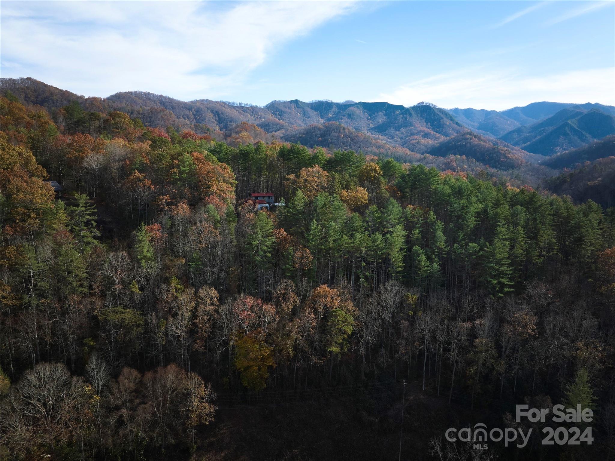 0 Sky Ridge Drive Bryson City, NC 28713 - Photo 4 of 15 a view of a lot of trees and mountains