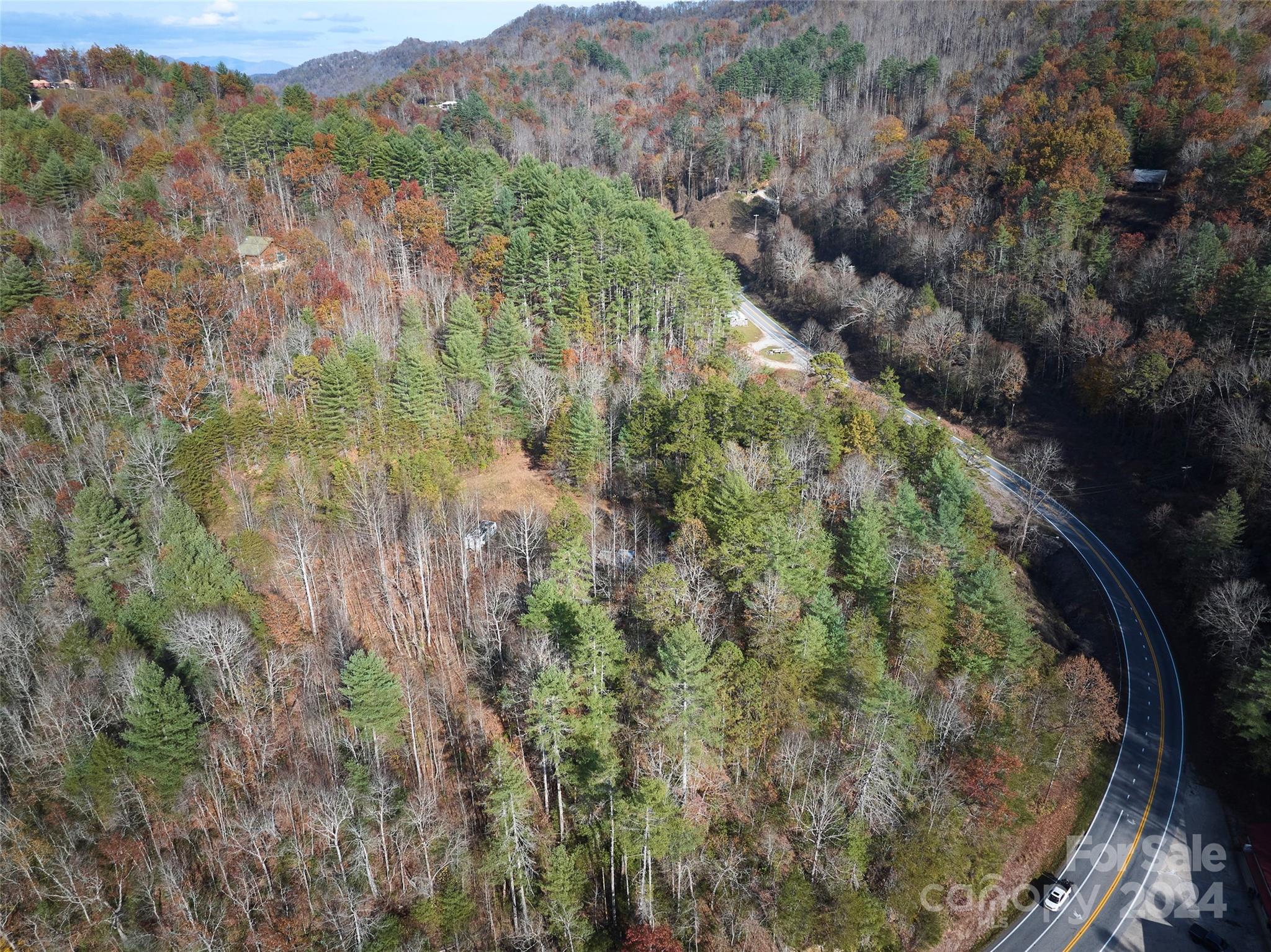 0 Sky Ridge Drive Bryson City, NC 28713 - Photo 5 of 15 a view of a forest with a forest