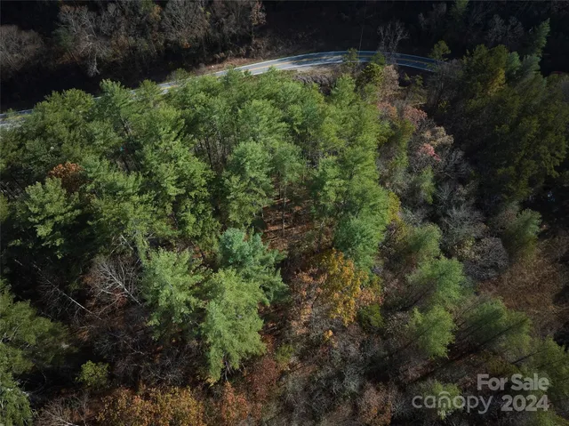 a view of a house with a lush green forest