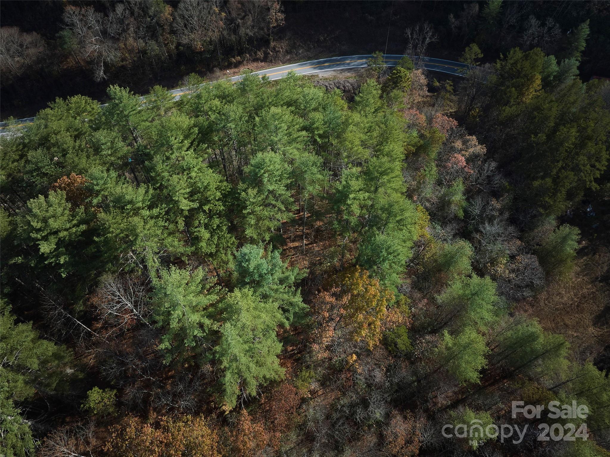 0 Sky Ridge Drive Bryson City, NC 28713 - Photo 8 of 15 a view of a plants and lots of trees