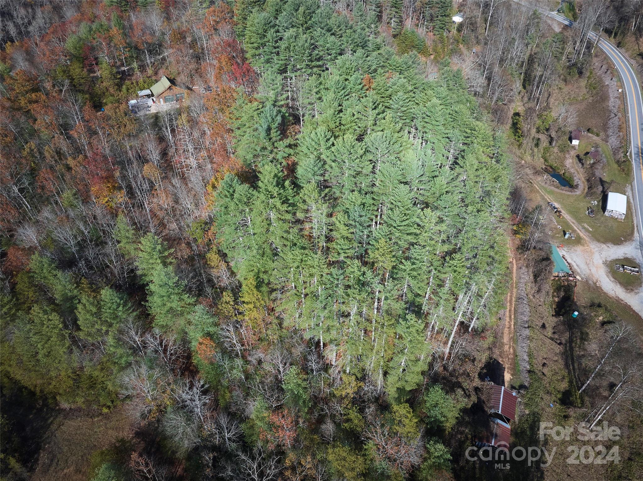 0 Sky Ridge Drive Bryson City, NC 28713 - Photo 9 of 15