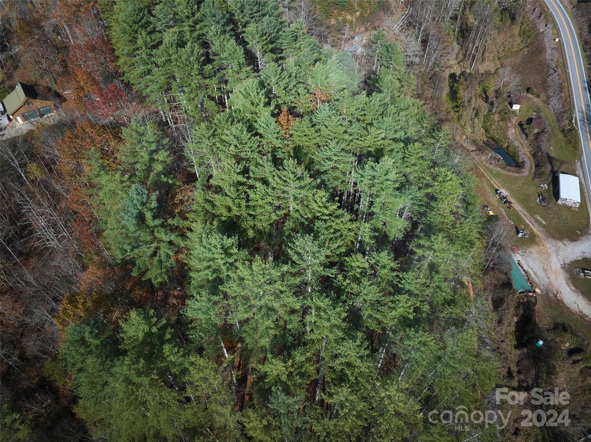0 Sky Ridge Drive Bryson City, NC 28713 - Photo 10 of 15 a view of a house with a lush green forest
