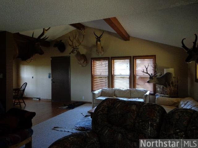 42084 Starch Road Bruno, MN 55712 - Photo 6 of 15 Gallery Image 6