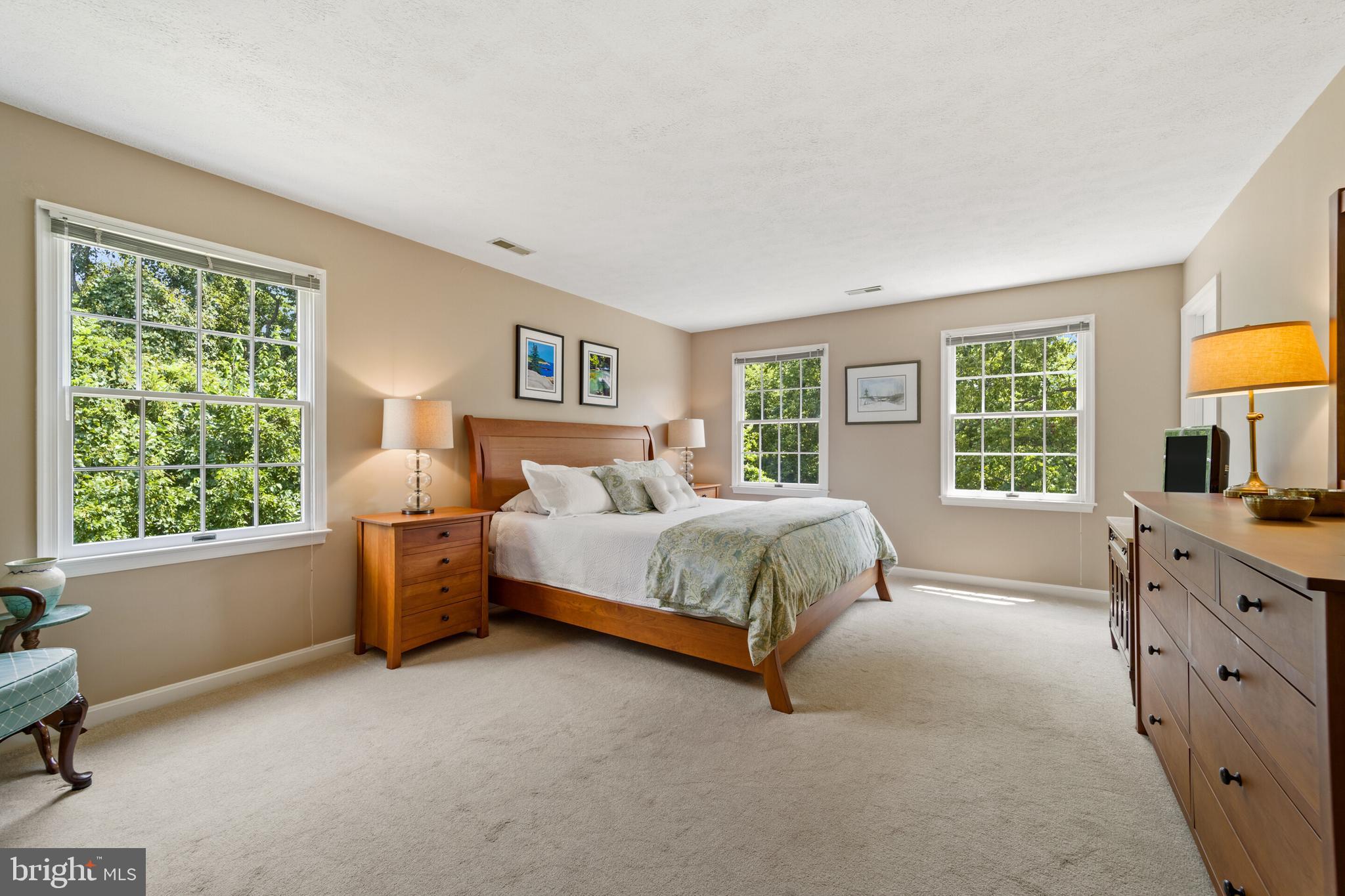 439 Kimble Road Berryville, VA 22611 - Photo 35 of 77 PRIMARY BEDROOM W/ FRESH NEUTRAL CARPETING
