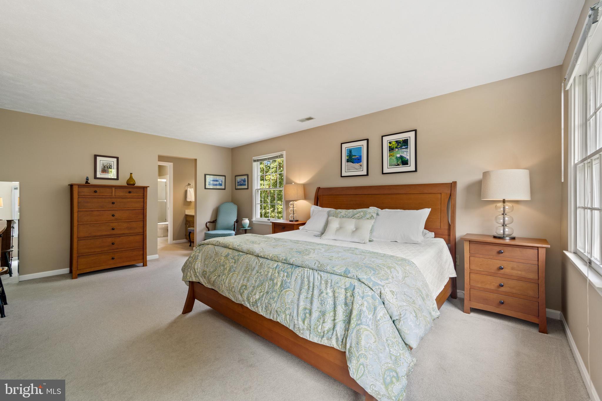 439 Kimble Road Berryville, VA 22611 - Photo 36 of 77 PRIMARY BEDROOM VIEW