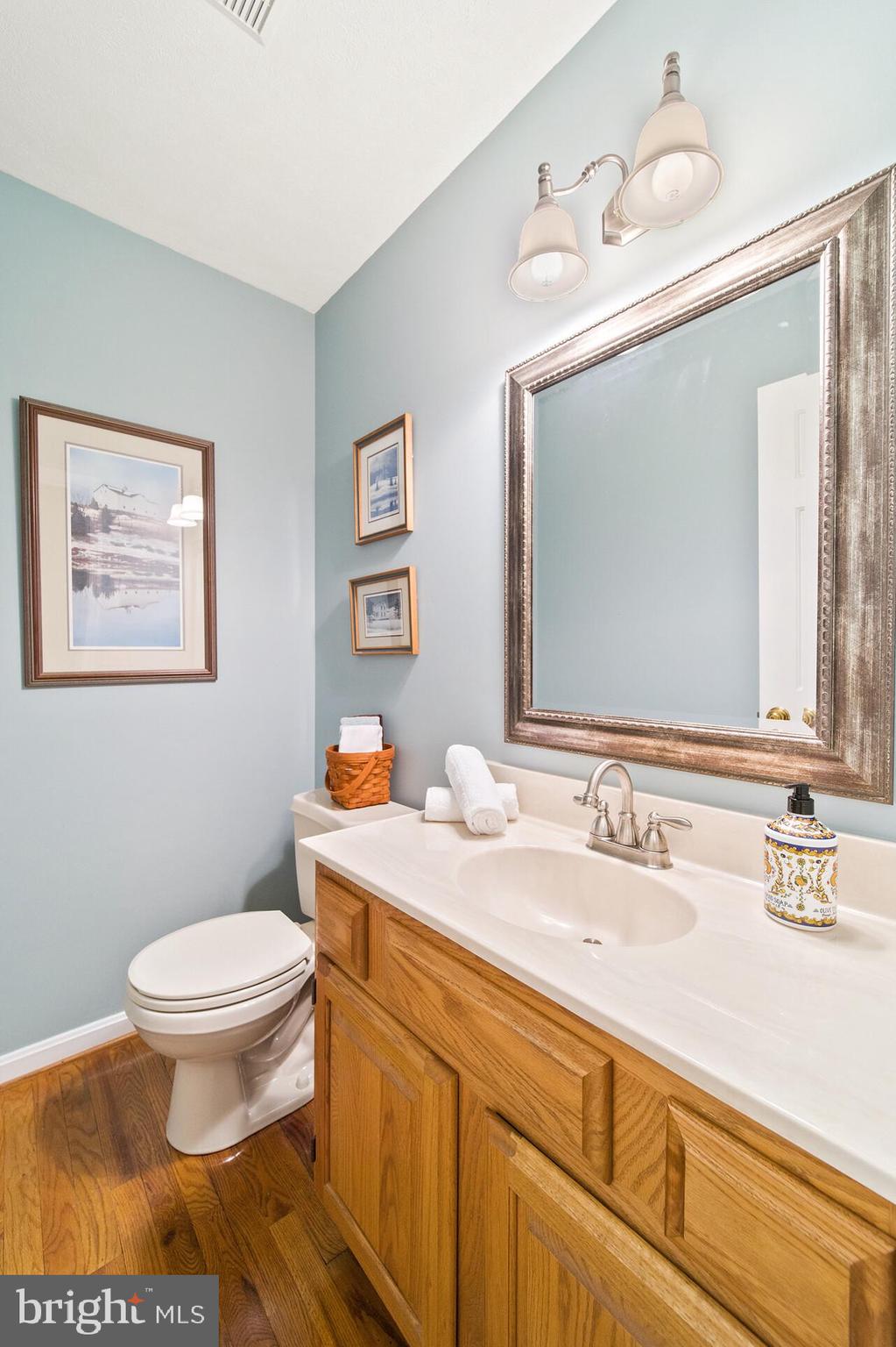 439 Kimble Road Berryville, VA 22611 - Photo 54 of 77 POWDER ROOM VIEW...