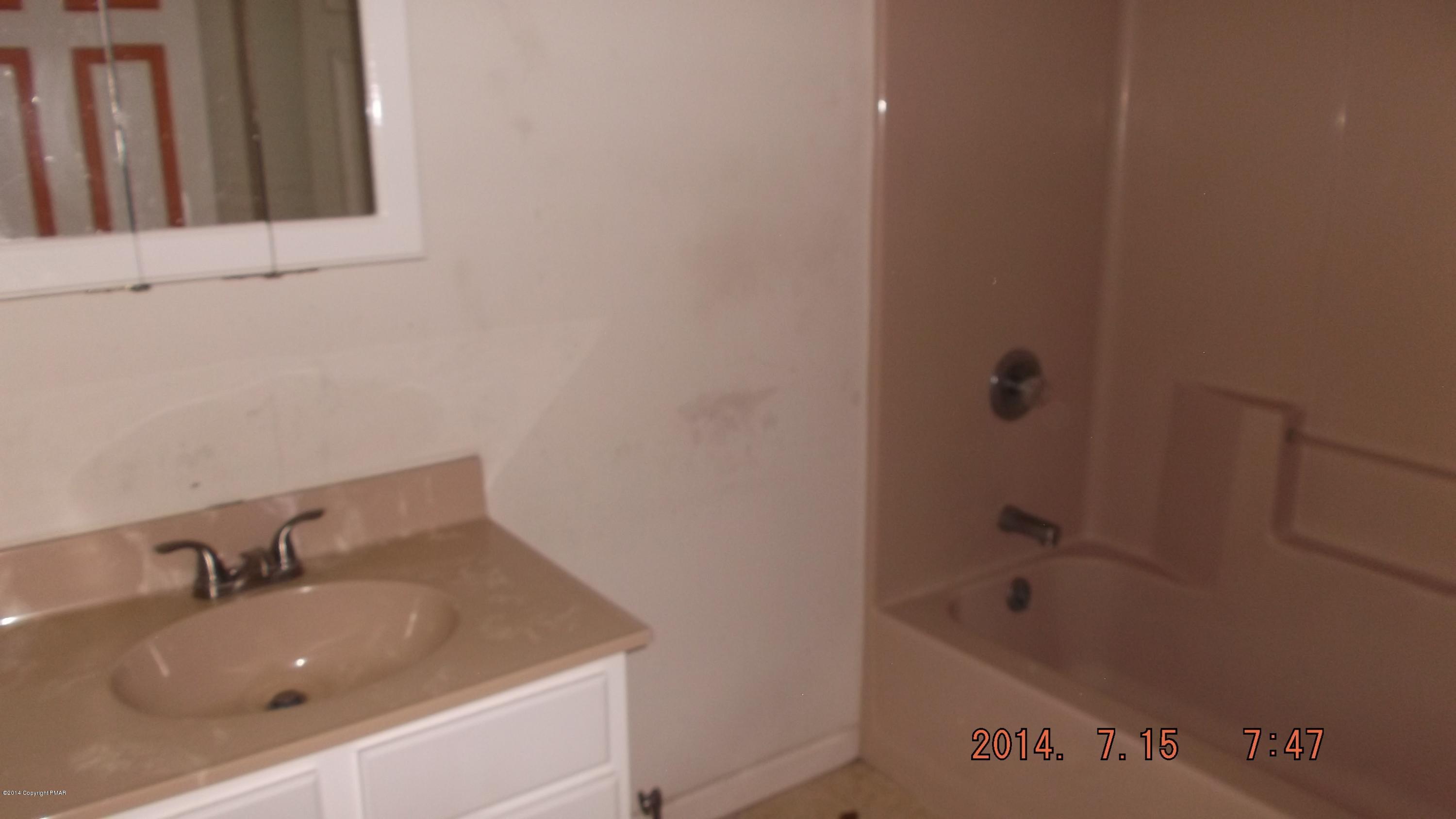 1560 Clover Road Long Pond, PA 18334 - Photo 13 of 18 a bathroom with a sink and a bathtub