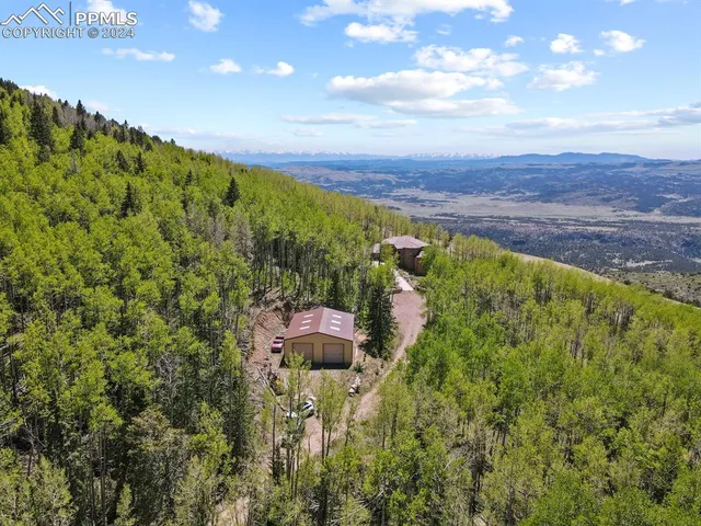 a view of a garden with an outdoor space