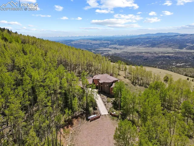 a view of a garden with a bench