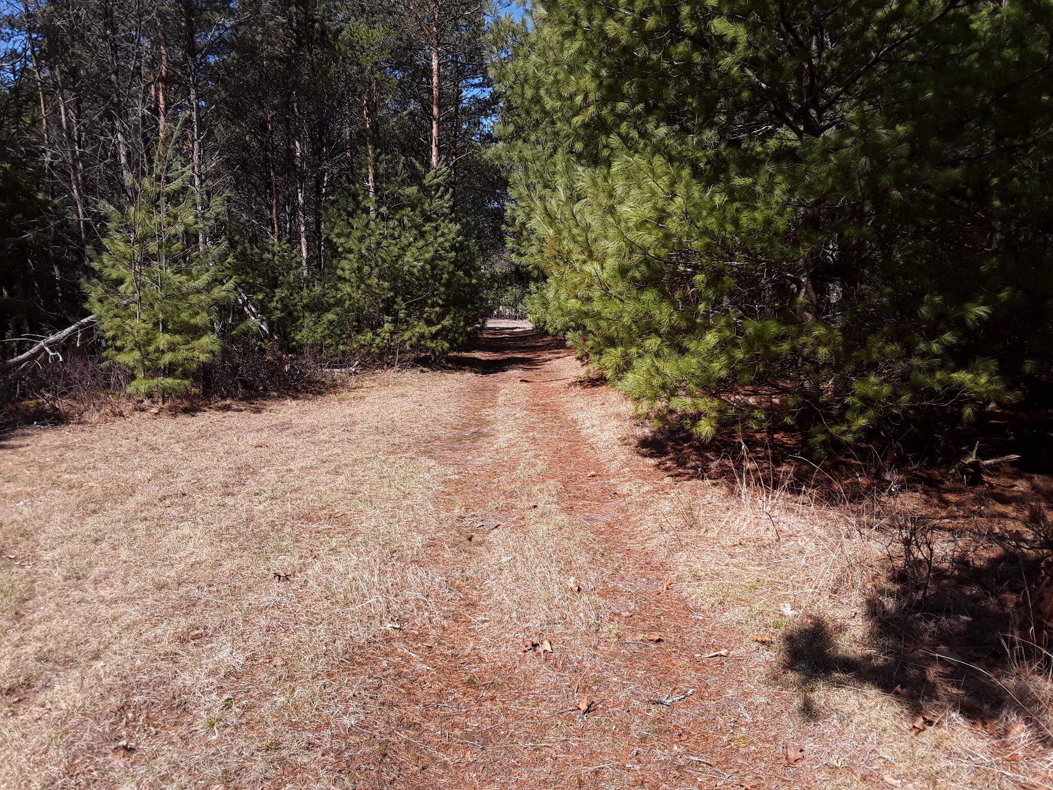 N18352 Reed Road Pembine, WI 54156 - Photo 2 of 3 20250426_104243