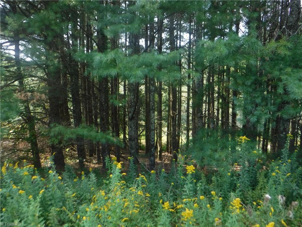 132 Pruitt Road Sparta, NC 28675 - Photo 15 of 25 Gallery Image 15