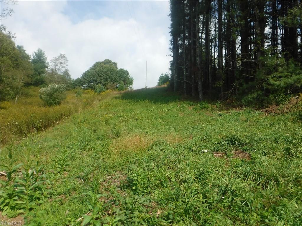 132 Pruitt Road Sparta, NC 28675 - Photo 16 of 25 Gallery Image 16