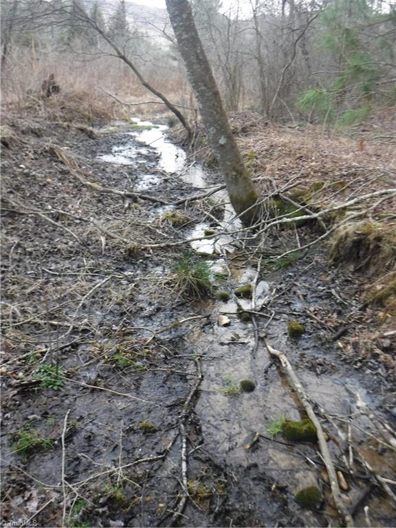 132 Pruitt Road Sparta, NC 28675 - Photo 25 of 25 The flowing spring branch... good mountain water!!
