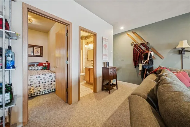 a view of a livingroom with furniture and closet