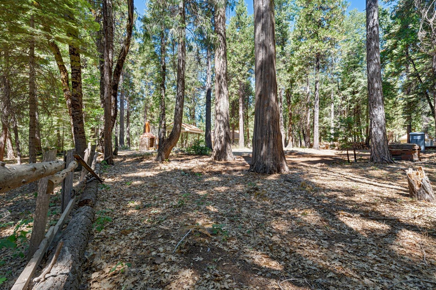 740 Hideaway Loop Alta, CA 95701 - Photo 43 of 74