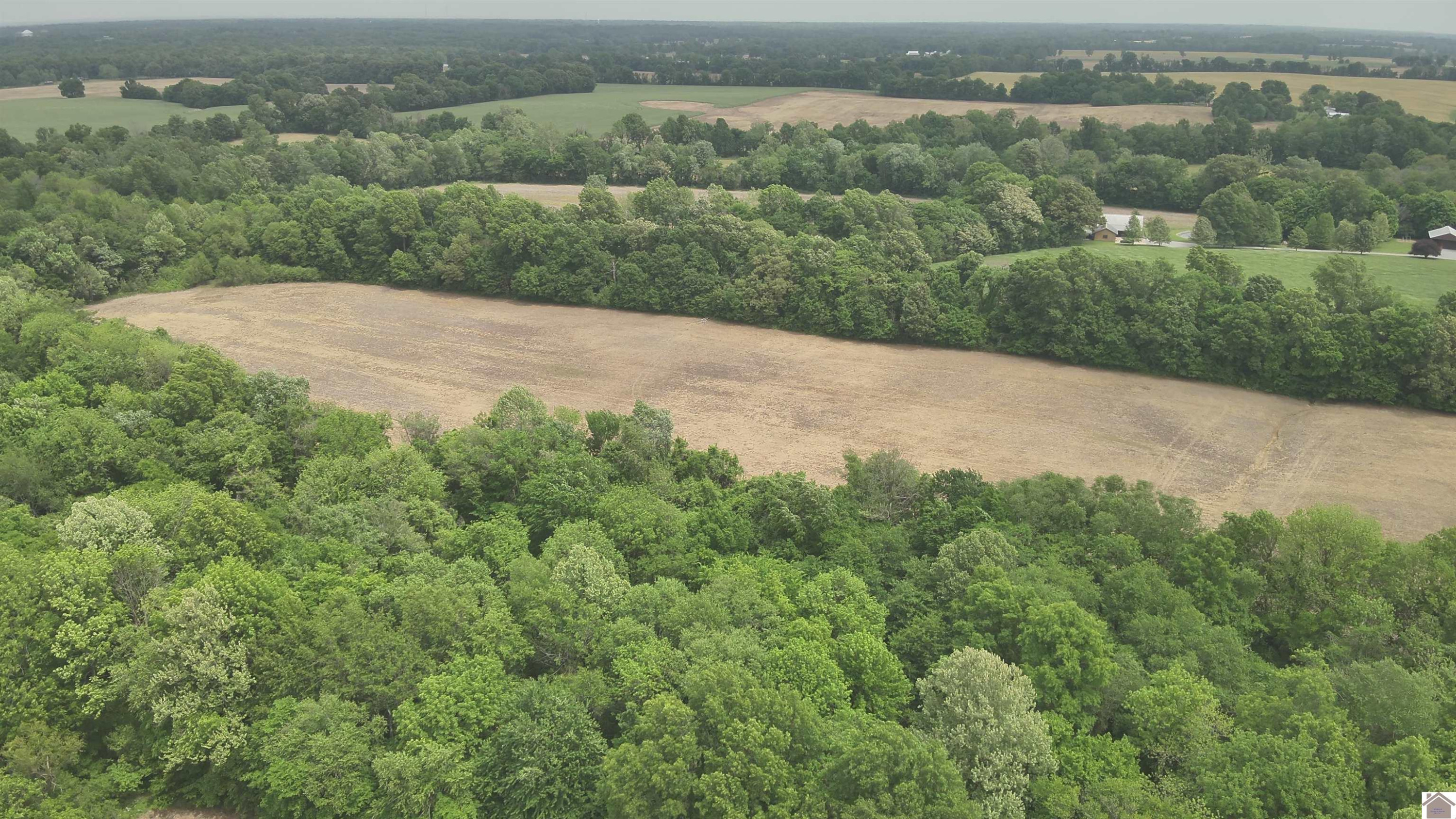 0 Albert Hook Road La Center, KY 42056 - Photo 4 of 4 Photo 4