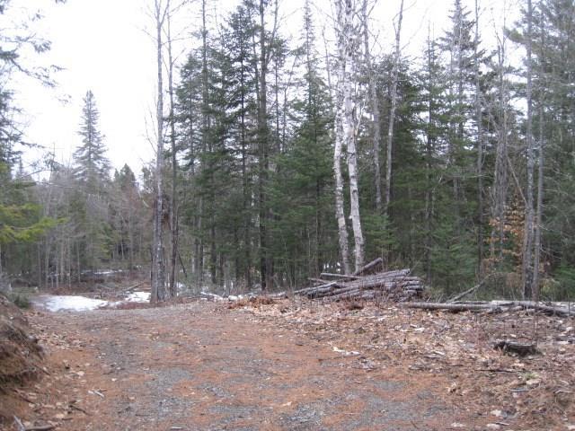 Lot 20 Cardville Road Greenbush, ME 04418 - Photo 2 of 4 Photo