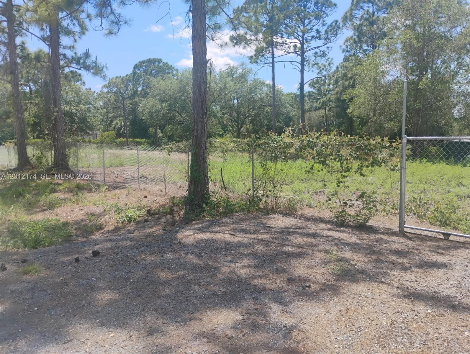640 North Riverside Street Clewiston, FL 33440 - Photo 1 of 7 a view of a forest with a tree