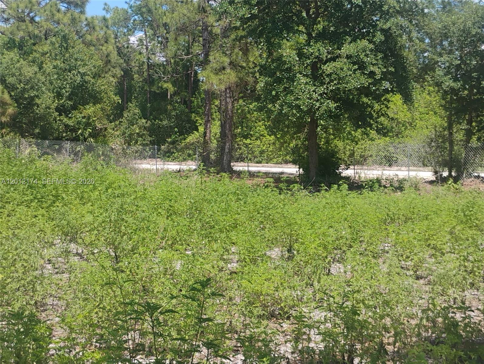 640 North Riverside Street Clewiston, FL 33440 - Photo 4 of 7 a view of backyard with green space