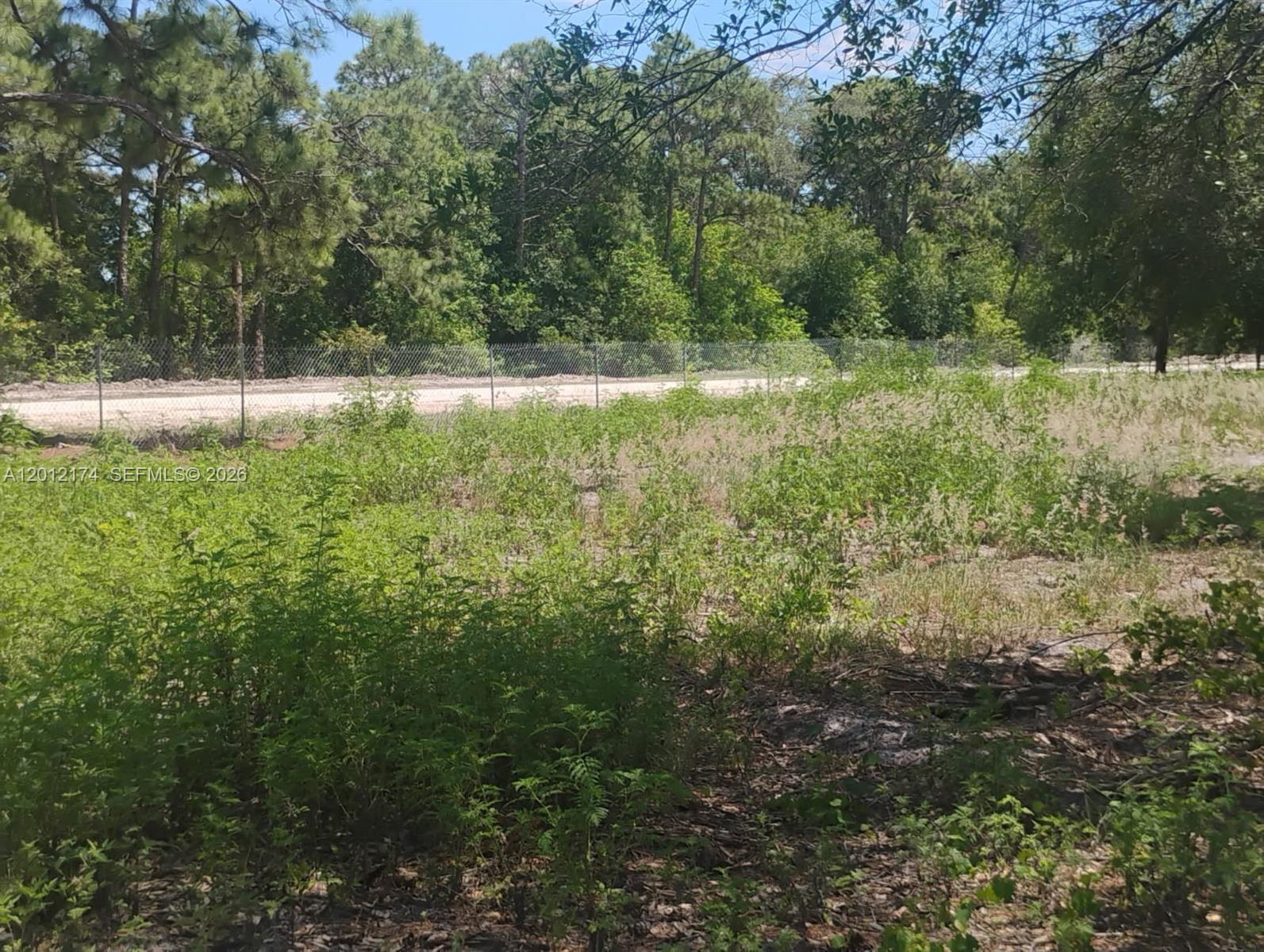 640 North Riverside Street Clewiston, FL 33440 - Photo 7 of 7 a view of outdoor space and yard