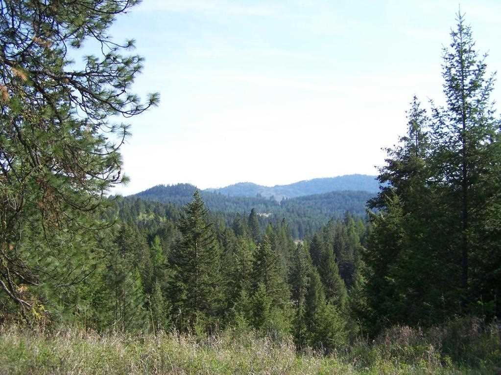 3006 Pleasant Valley Road Rice, WA 99167 - Photo 12 of 20