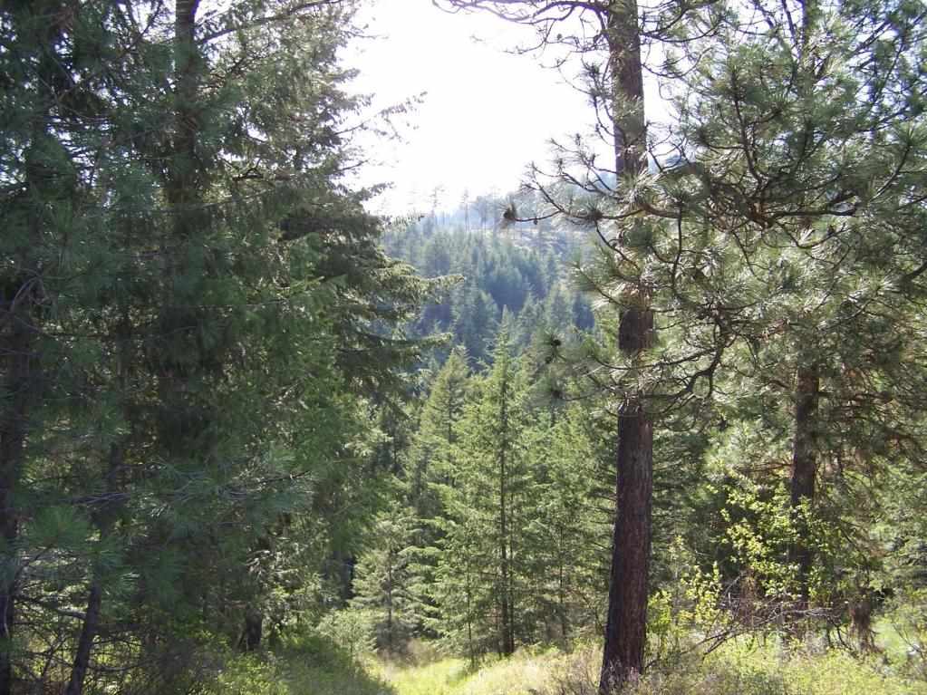 3006 Pleasant Valley Road Rice, WA 99167 - Photo 13 of 20