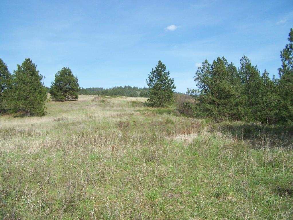 3006 Pleasant Valley Road Rice, WA 99167 - Photo 14 of 20