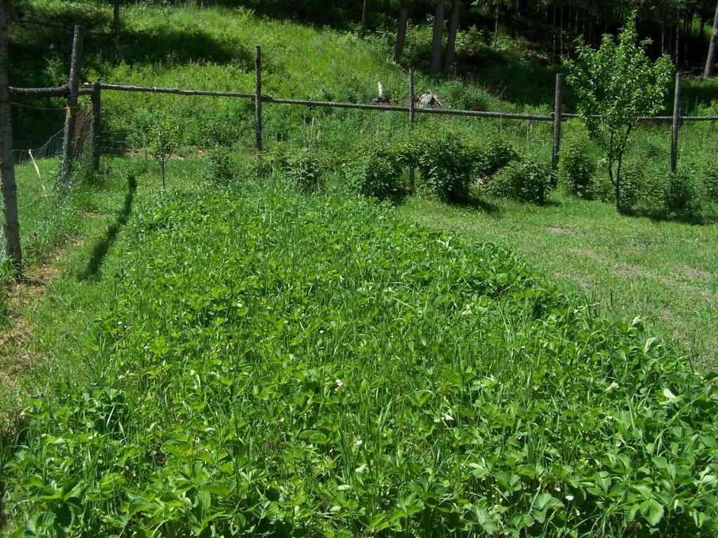 3006 Pleasant Valley Road Rice, WA 99167 - Photo 16 of 20