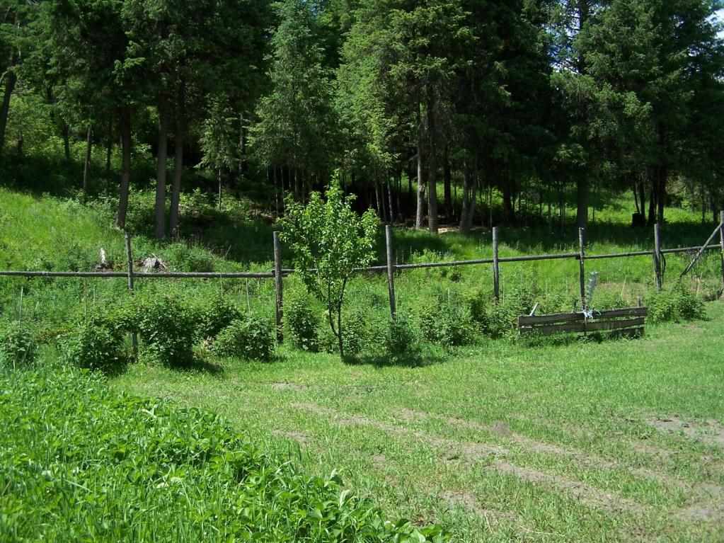 3006 Pleasant Valley Road Rice, WA 99167 - Photo 17 of 20