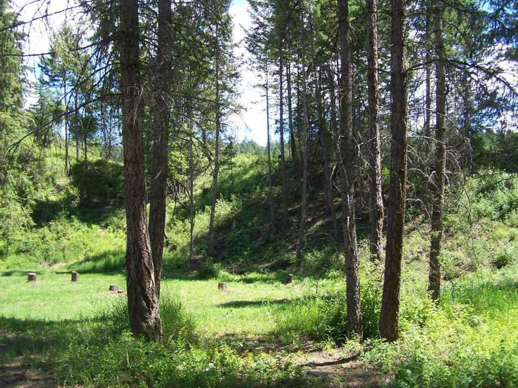 3006 Pleasant Valley Road Rice, WA 99167 - Photo 20 of 20