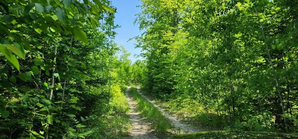 $640,000 | 400 Trophy Lane, Hessel, MI 49745