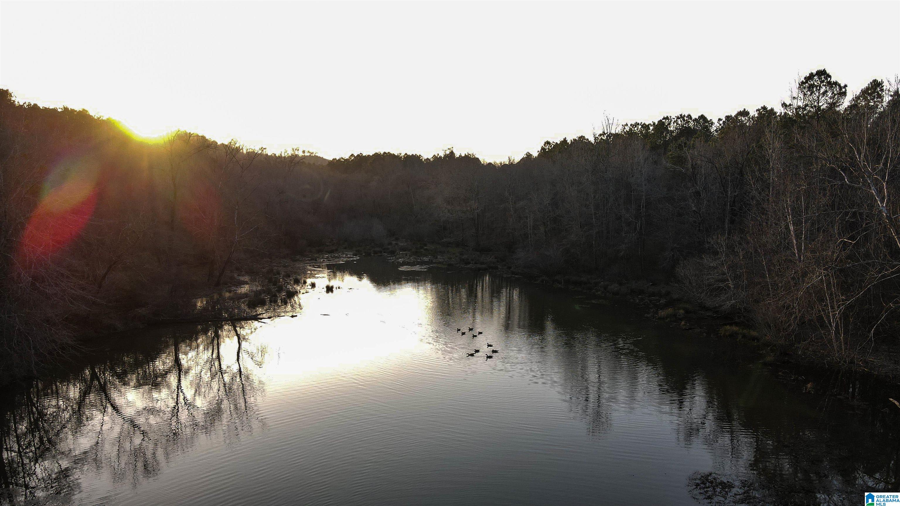 0 Parsons Loop Road Mulga, AL 35118 - Photo 8 of 38