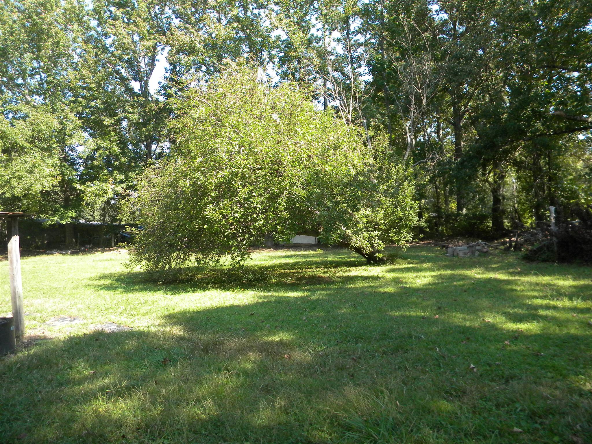 317 Garrison Road Hohenwald, TN 38462 - Photo 12 of 16 Gallery Image 12